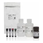 Thermo Fisher Scientific eBioscience Essential Human Treg Phenotyping Panel & Staining Buffers