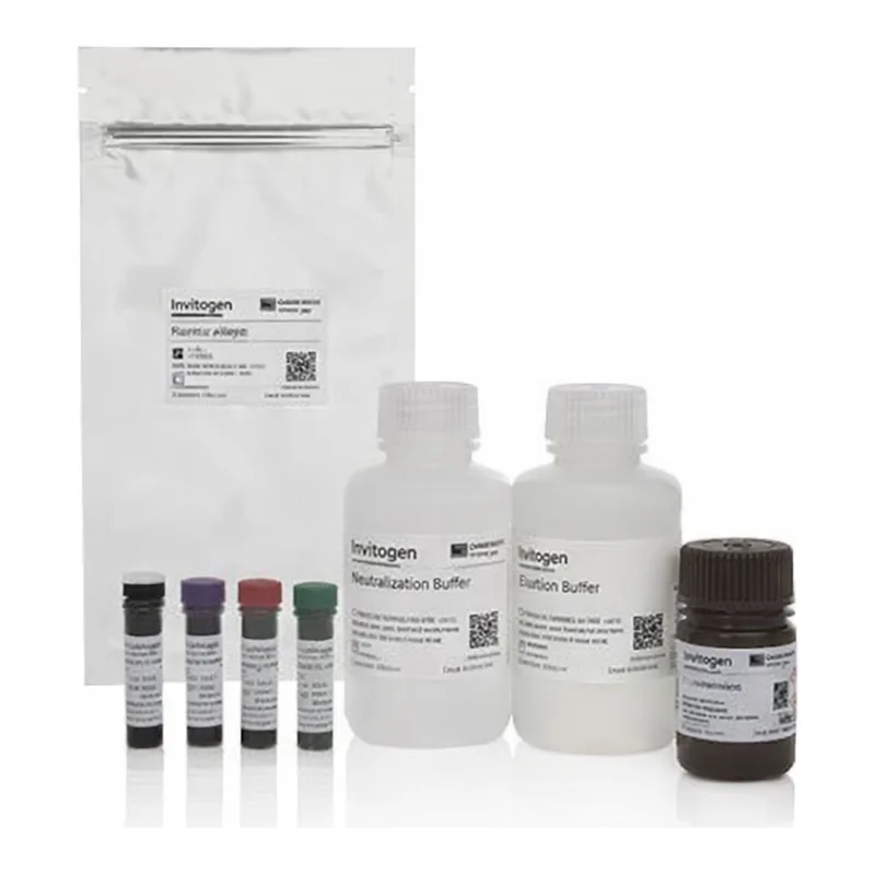 Thermo Fisher Scientific eBioscience Essential Human Treg Phenotyping Panel & Staining Buffers