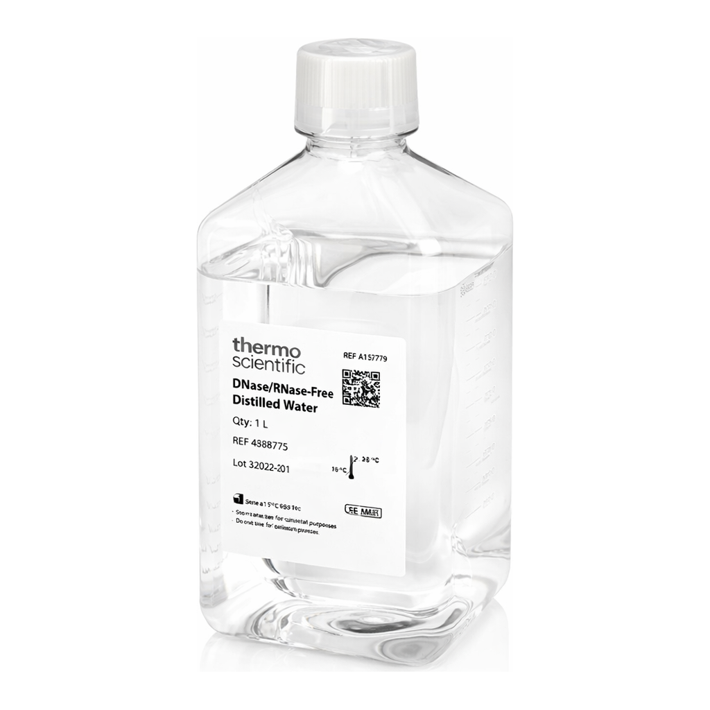 Thermo Fisher Scientific DNase/RNase-Free Deionized Water