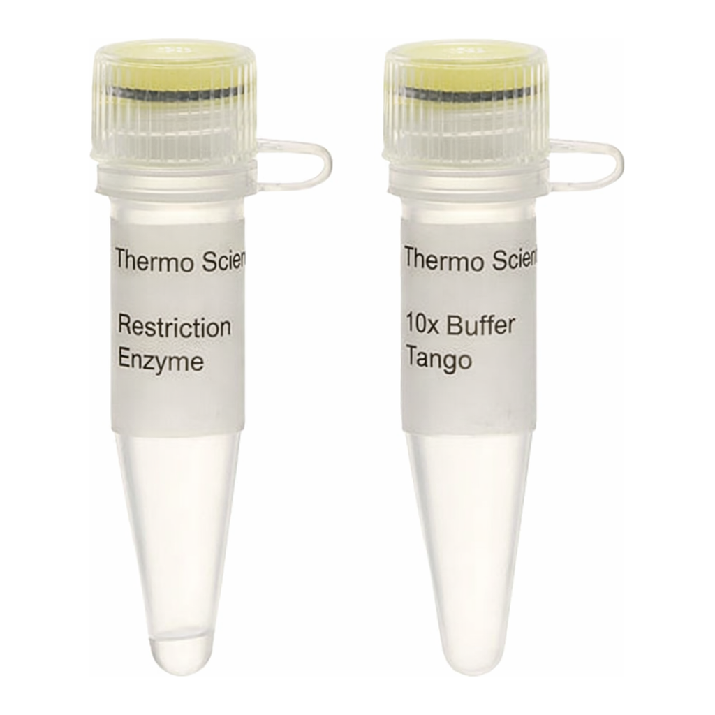 Thermo Fisher Scientific Kpn2I (BspEI) (10 U/&mu;L), 500 units