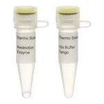 Thermo Fisher Scientific Kpn2I (BspEI) (10 U/μL), 500 units