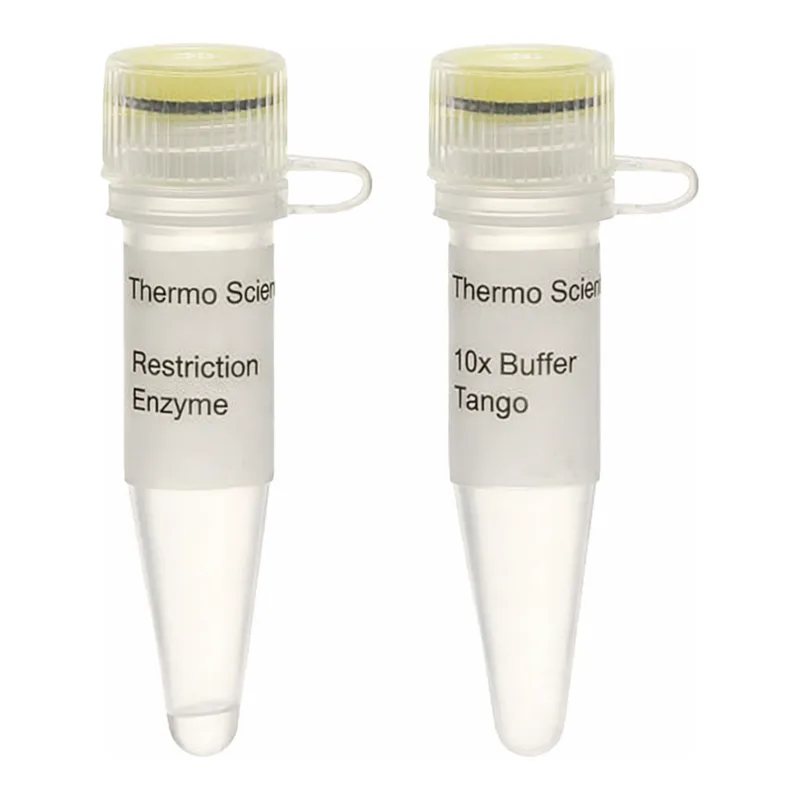 Thermo Fisher Scientific Kpn2I (BspEI) (10 U/μL), 500 units