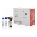 Thermo Fisher Scientific TrkB Human ProcartaPlex Simplex Kit