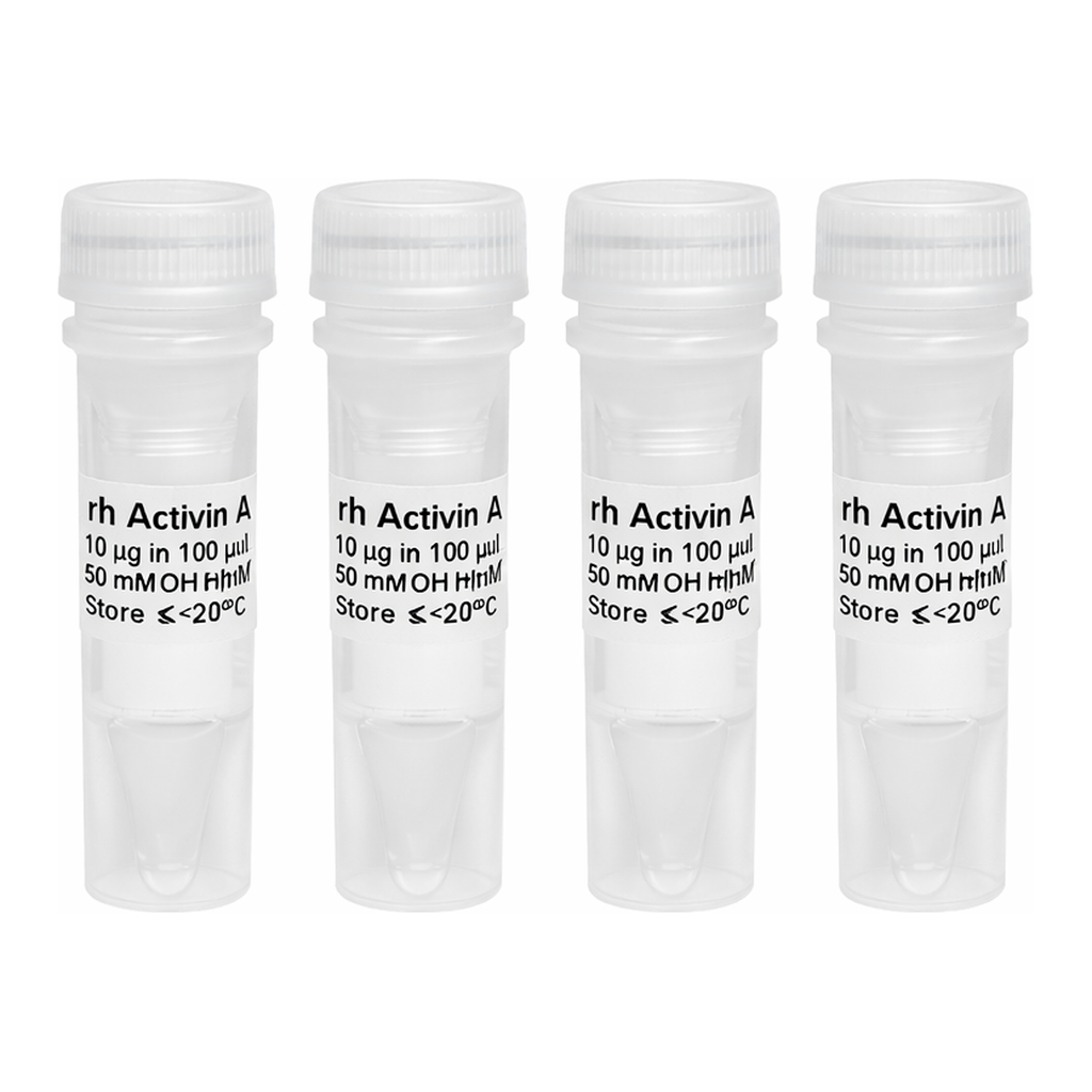 솔바이오팜 rh Activin A