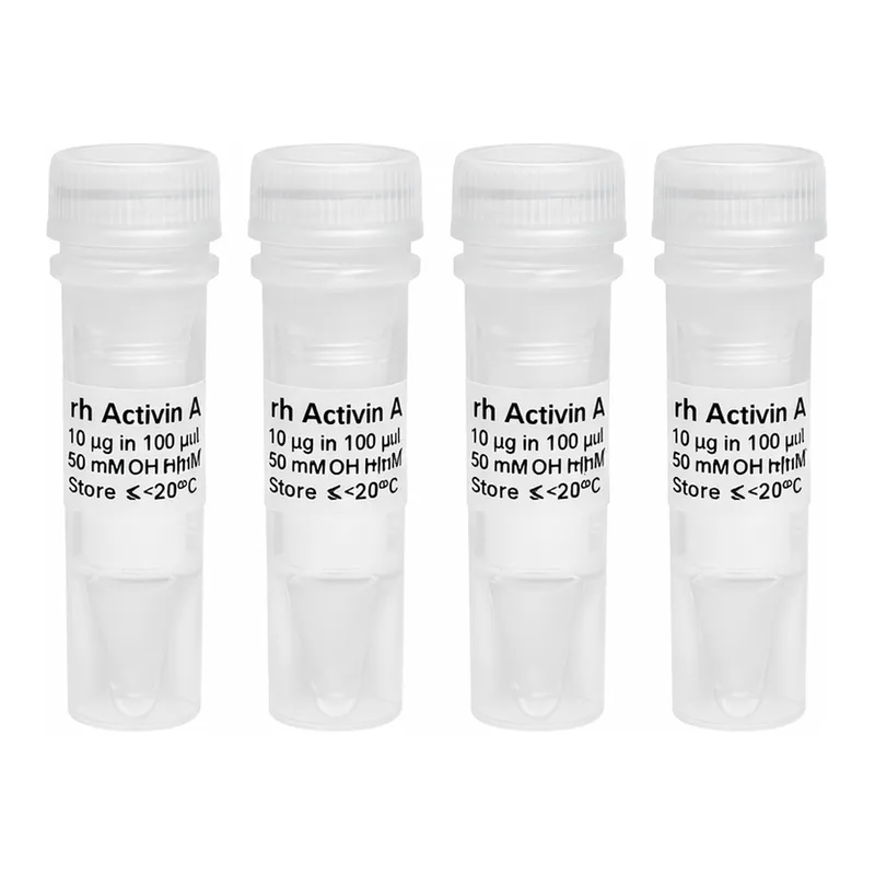 솔바이오팜 rh Activin A