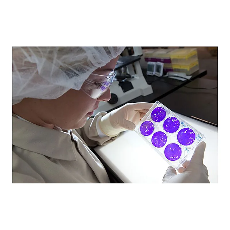 Viral Safety Testing