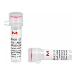 Merck MISSION(R) esiRNA