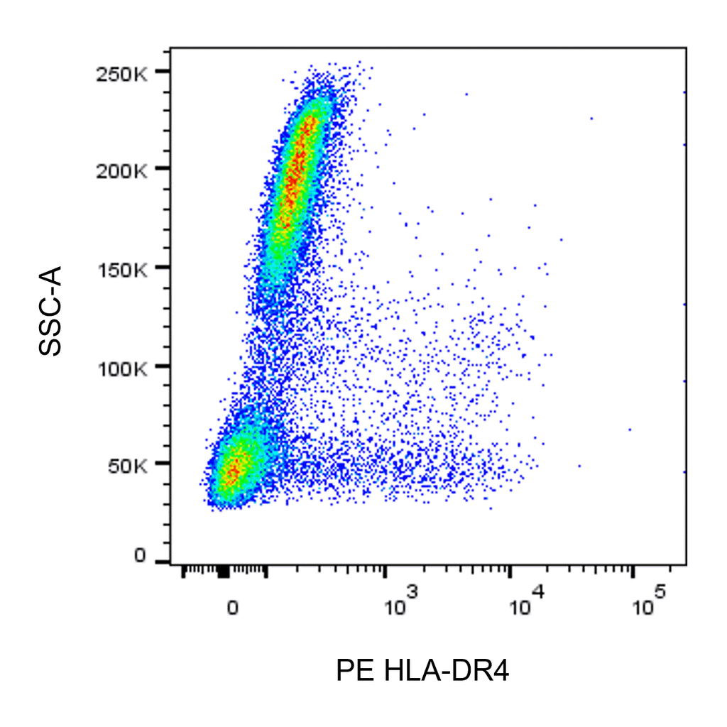 BD PE Mouse Anti-Human HLA-DR4