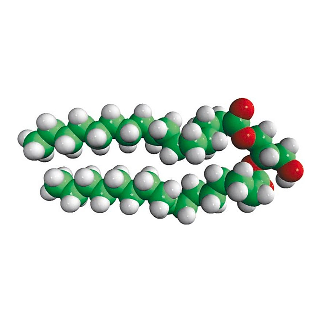 Merck 16:0 DG