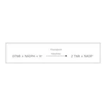 Merck THIOREDOXIN REDUCTASE FROM RAT LIVER&
