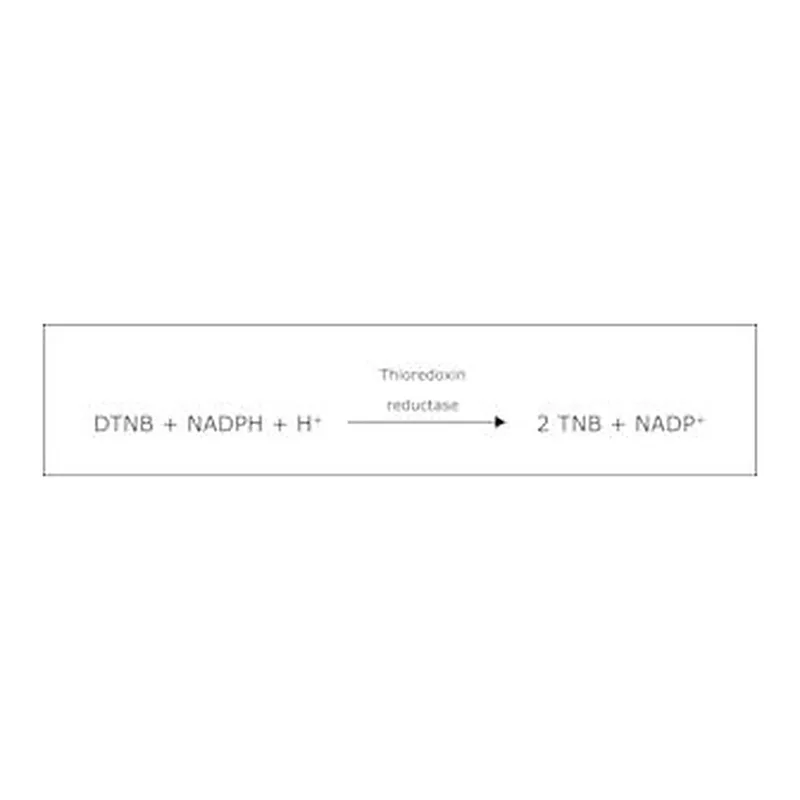 Merck THIOREDOXIN REDUCTASE FROM RAT LIVER&