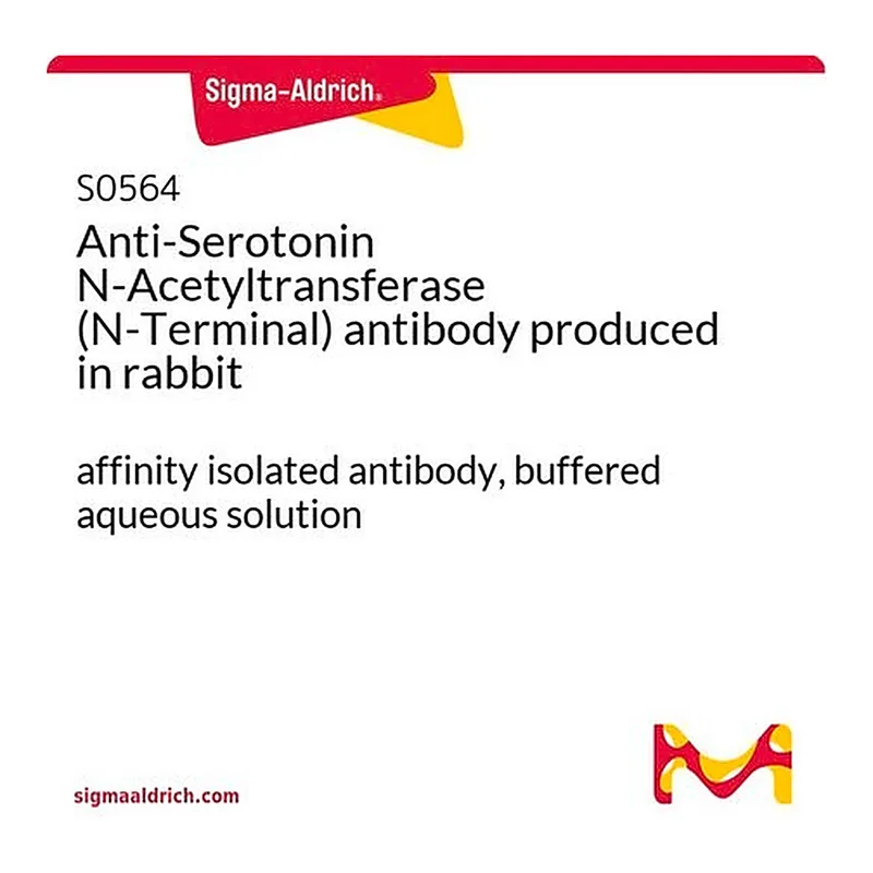 Merck Anti-Serotonin N-Acetyltransferase (N-Terminal) antibody produced in rabbit