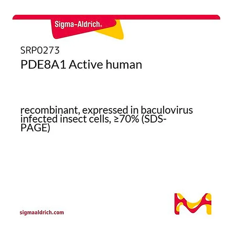 Merck PDE8A1 Active human