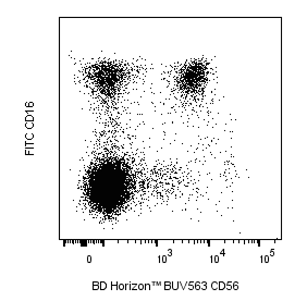 BD BUV563 Mouse Anti-Human CD56