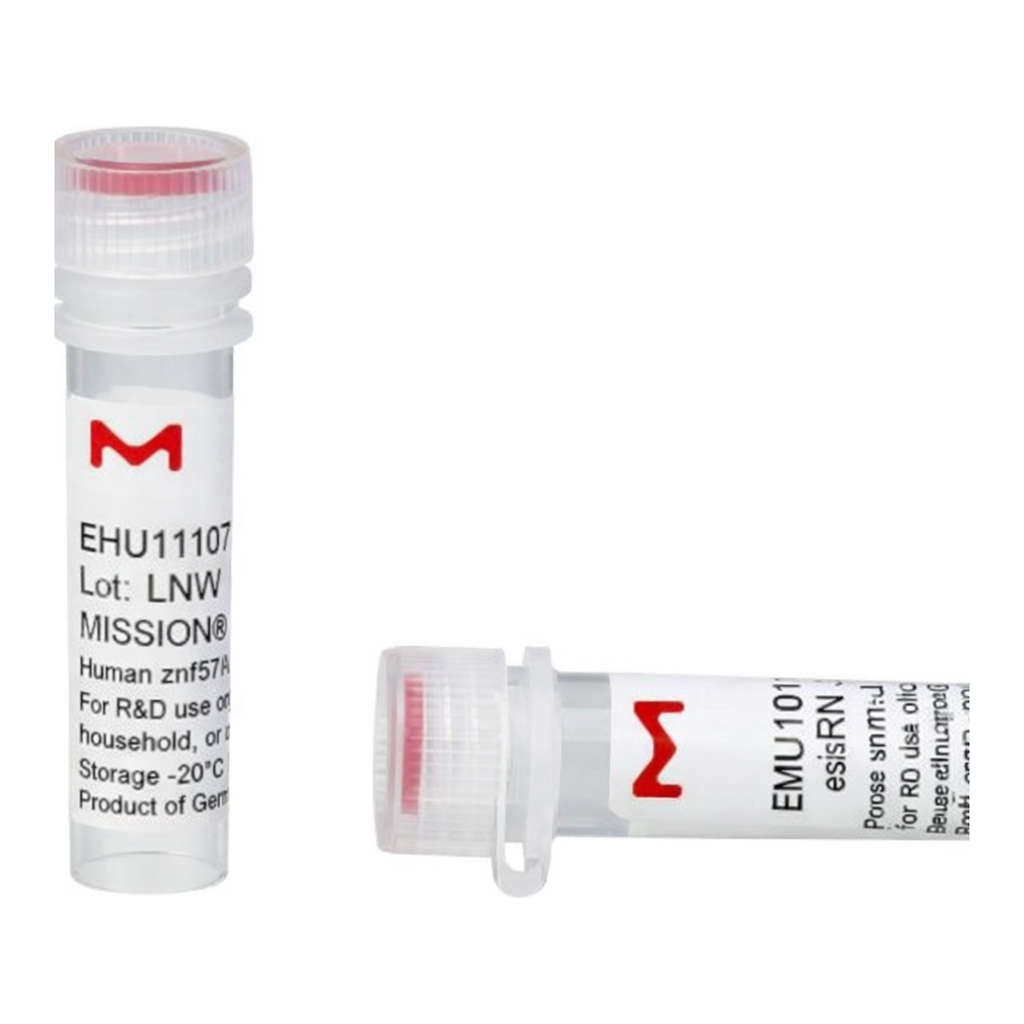 Merck MISSION(R) esiRNA