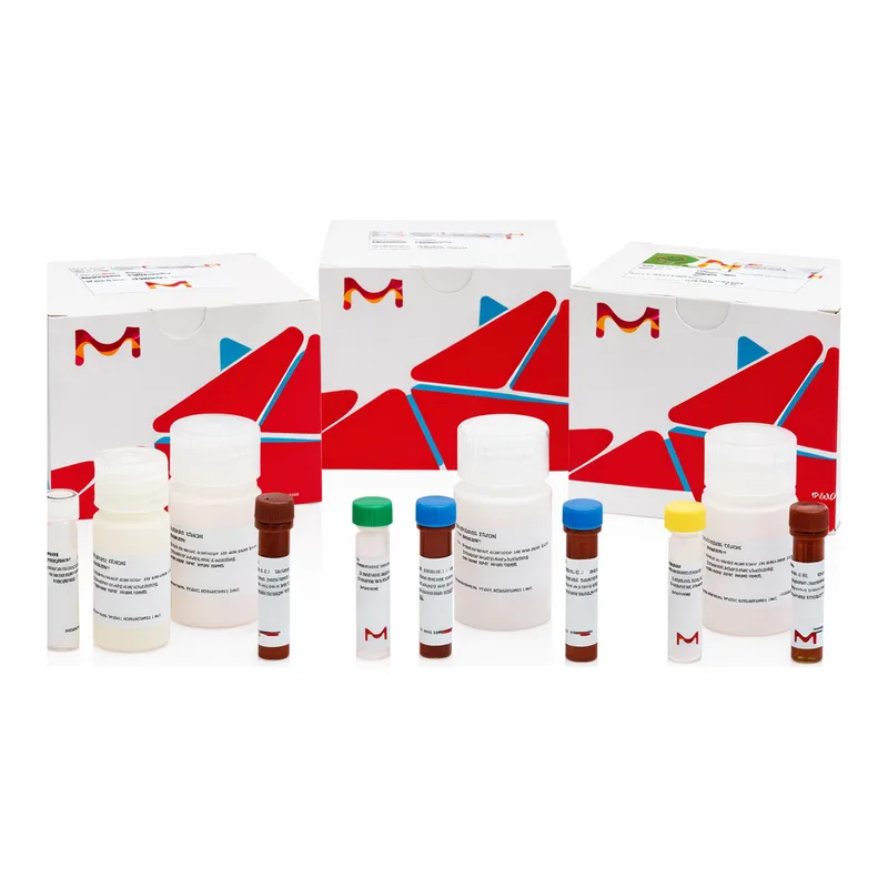 Merck LYSYL OXIDASE (LOX) ASSAY KIT