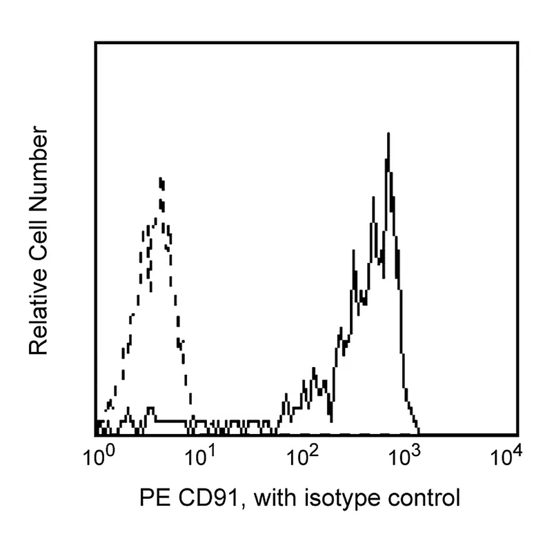 BD PE Mouse Anti-Human CD91