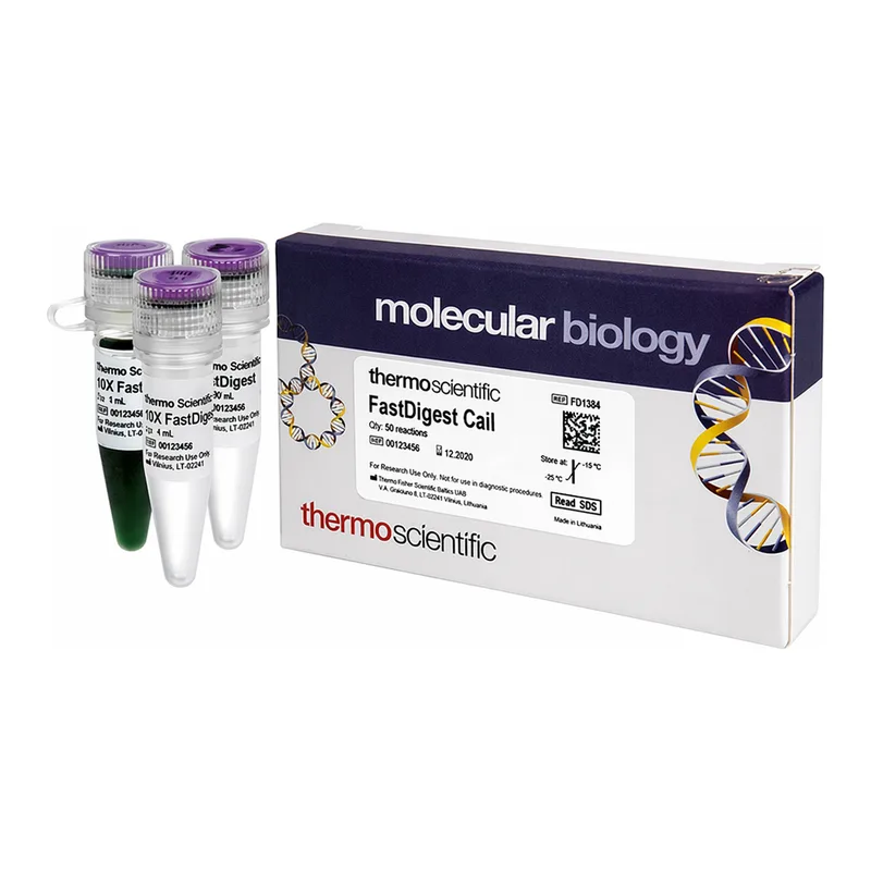 Thermo Fisher Scientific FastDigest CaiI