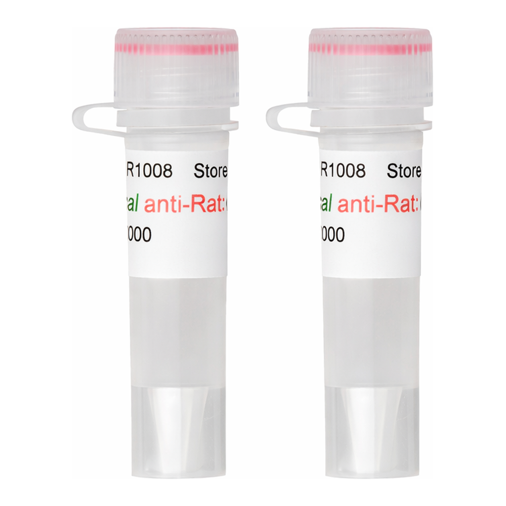 Kindle Biosciences DIGITAL ANTI-RAT-HRP