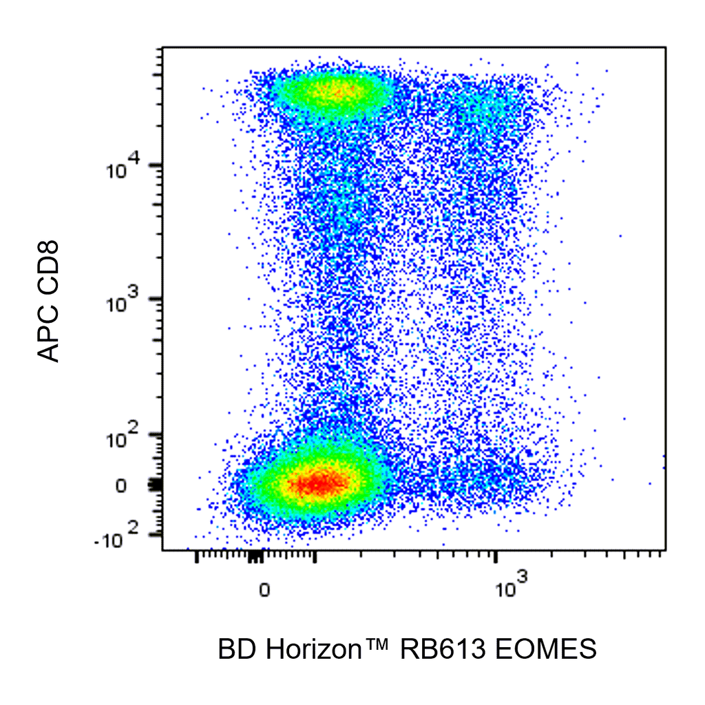 BD RB613 Mouse Anti-EOMES