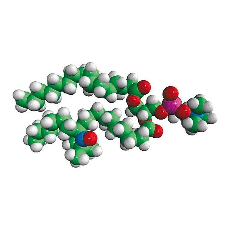 Merck 16:0-12 Doxyl PC