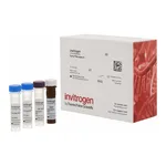 Thermo Fisher Scientific ICAM-1 Mouse ProcartaPlex Simplex Kit