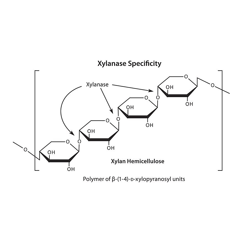 Merck Xylanase from Trichoderma viride