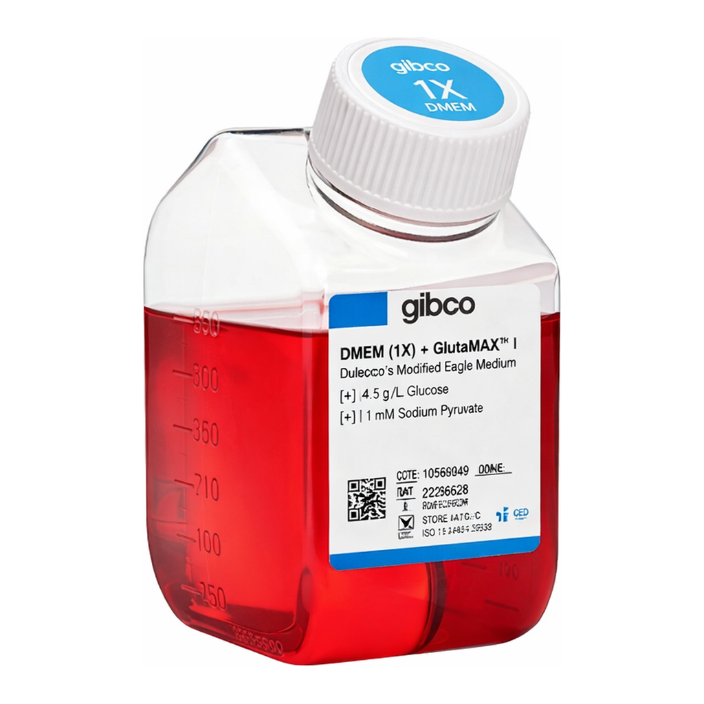 Thermo Fisher Scientific DMEM, high glucose, GlutaMAX Supplement, pyruvate, 500 mL
