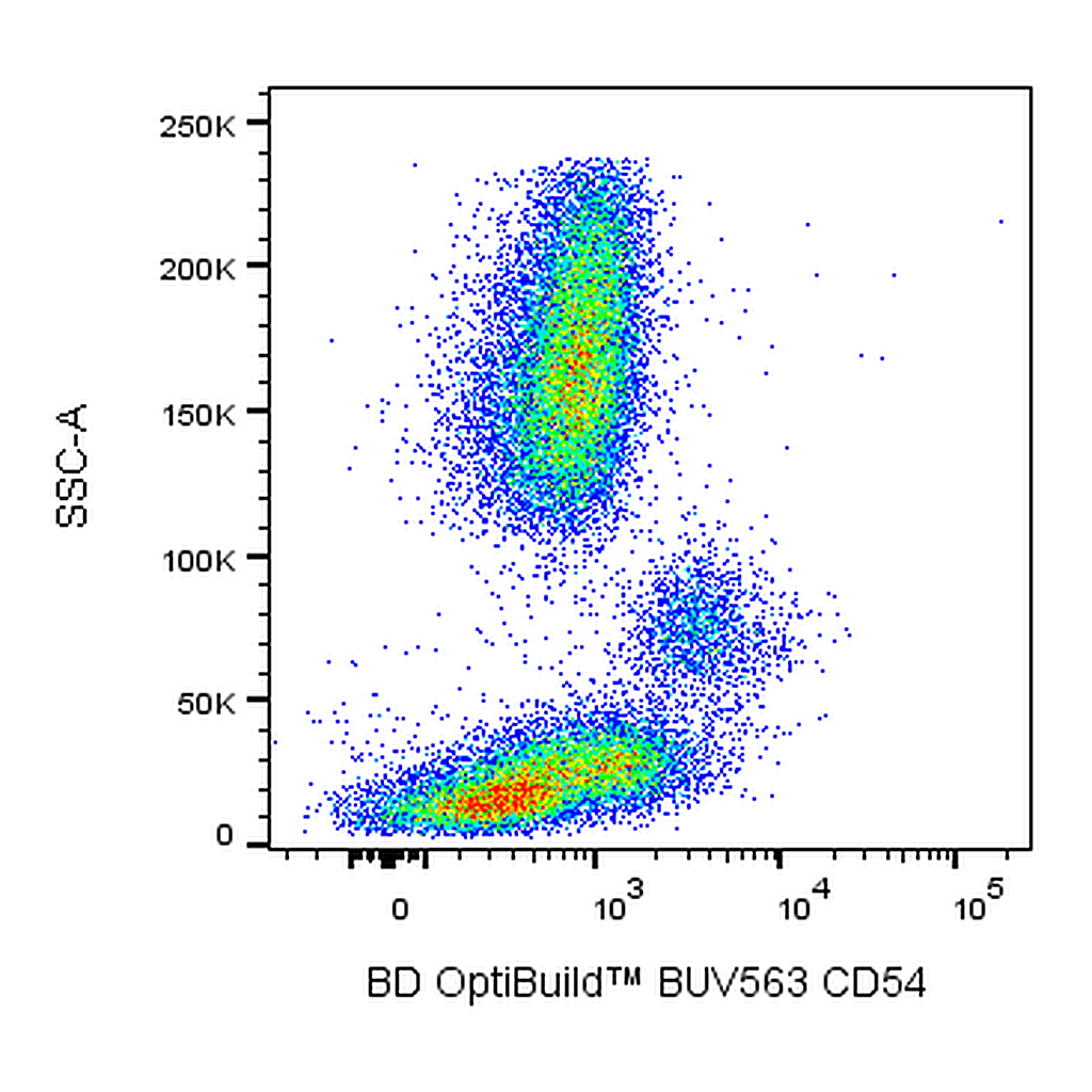 BD BUV563 Mouse Anti-Human CD54