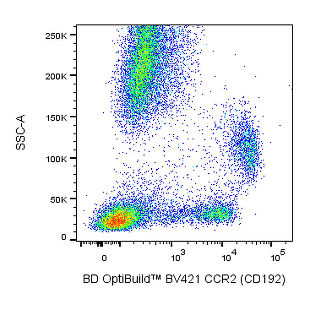 BD BV421 Mouse Anti-Human CCR2 (CD192)