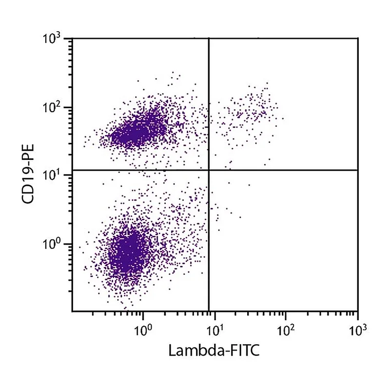 Thermo Fisher Scientific Rat anti-Mouse Lambda Light Chain Secondary Antibody, FITC