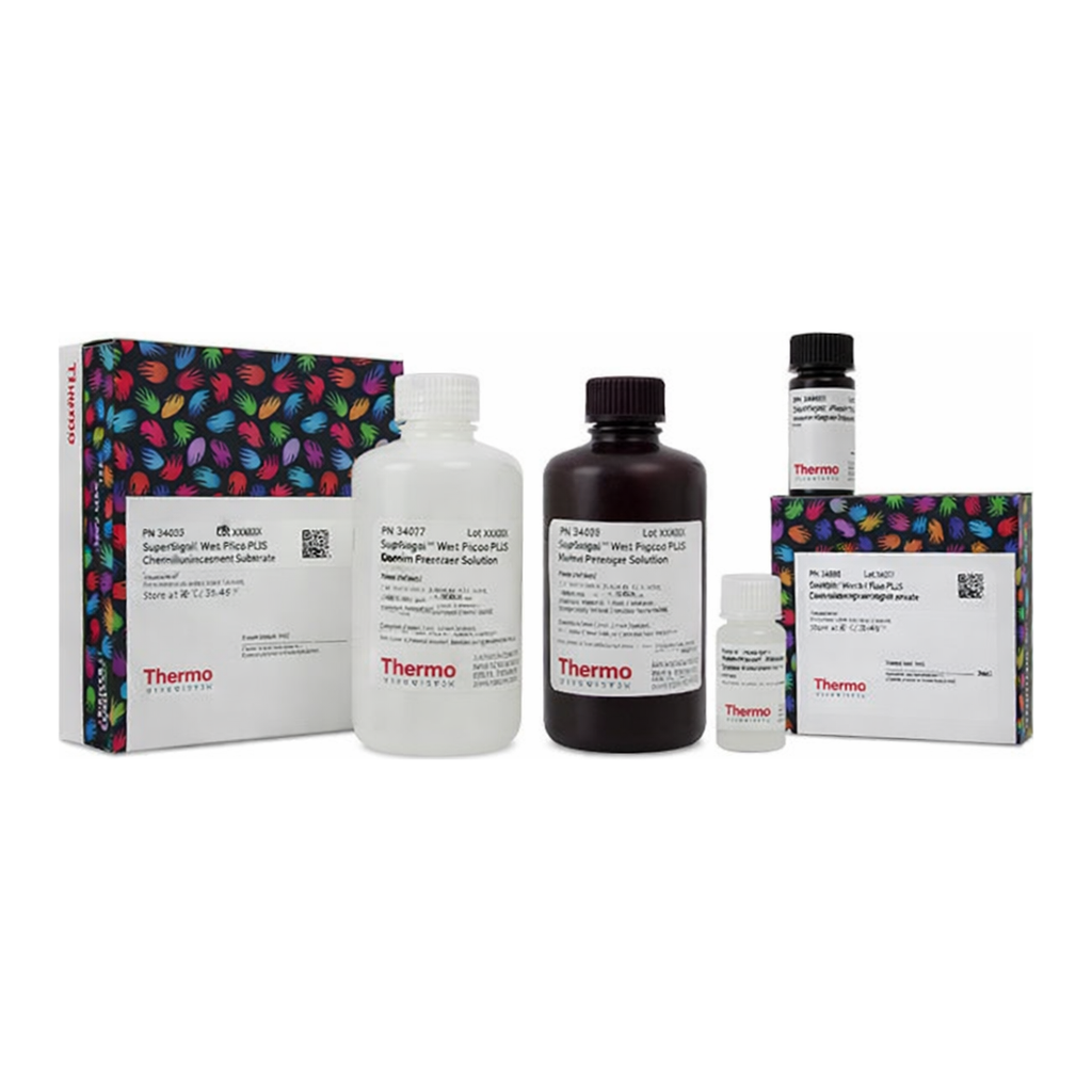 Thermo Fisher Scientific SuperSignal Western Blot Substrate Bundle, Pico PLUS + trial-size Femto