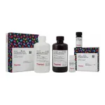 Thermo Fisher Scientific SuperSignal Western Blot Substrate Bundle, Pico PLUS + trial-size Femto