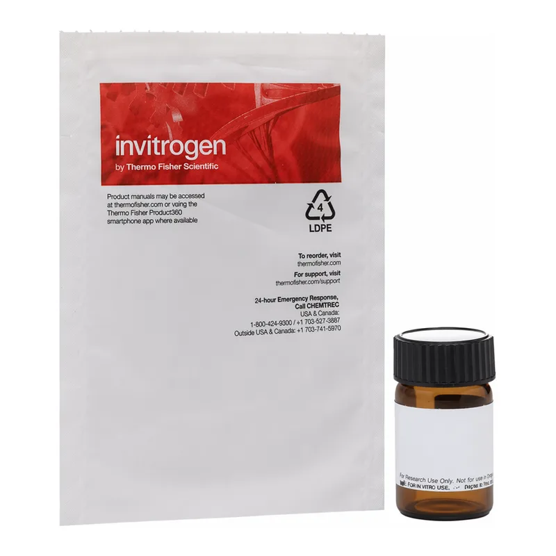 Thermo Fisher Scientific FM 2-10 (N-(3-Triethylammoniumpropyl)-4-(4-(Diethylamino)styryl)Pyridinium Dibromide)