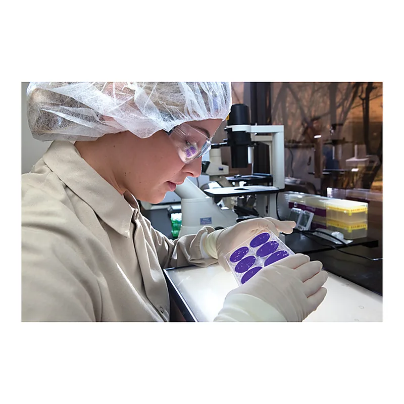 Anti-Infective & Vaccine Challenge Studies