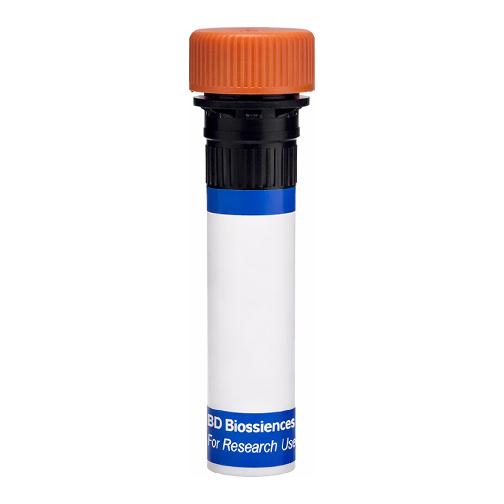 BD RB613 Rat Anti-Mouse CD115 (CSF-1 Receptor)