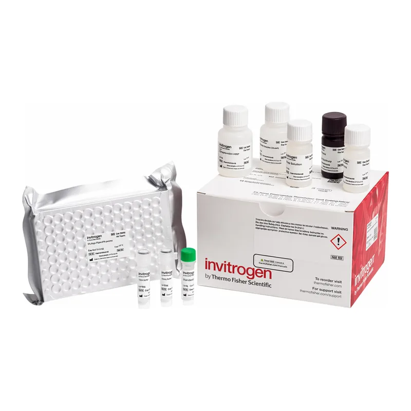 Thermo Fisher Scientific Rat Adiponectin Rapid ELISA Kit