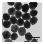 Merck SILVER, DISPERSION, NANOPARTICLES, 60 N&