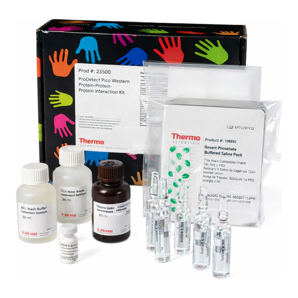 Thermo Fisher Scientific Pierce Far-Western Blot Kit for Biotinylated Proteins