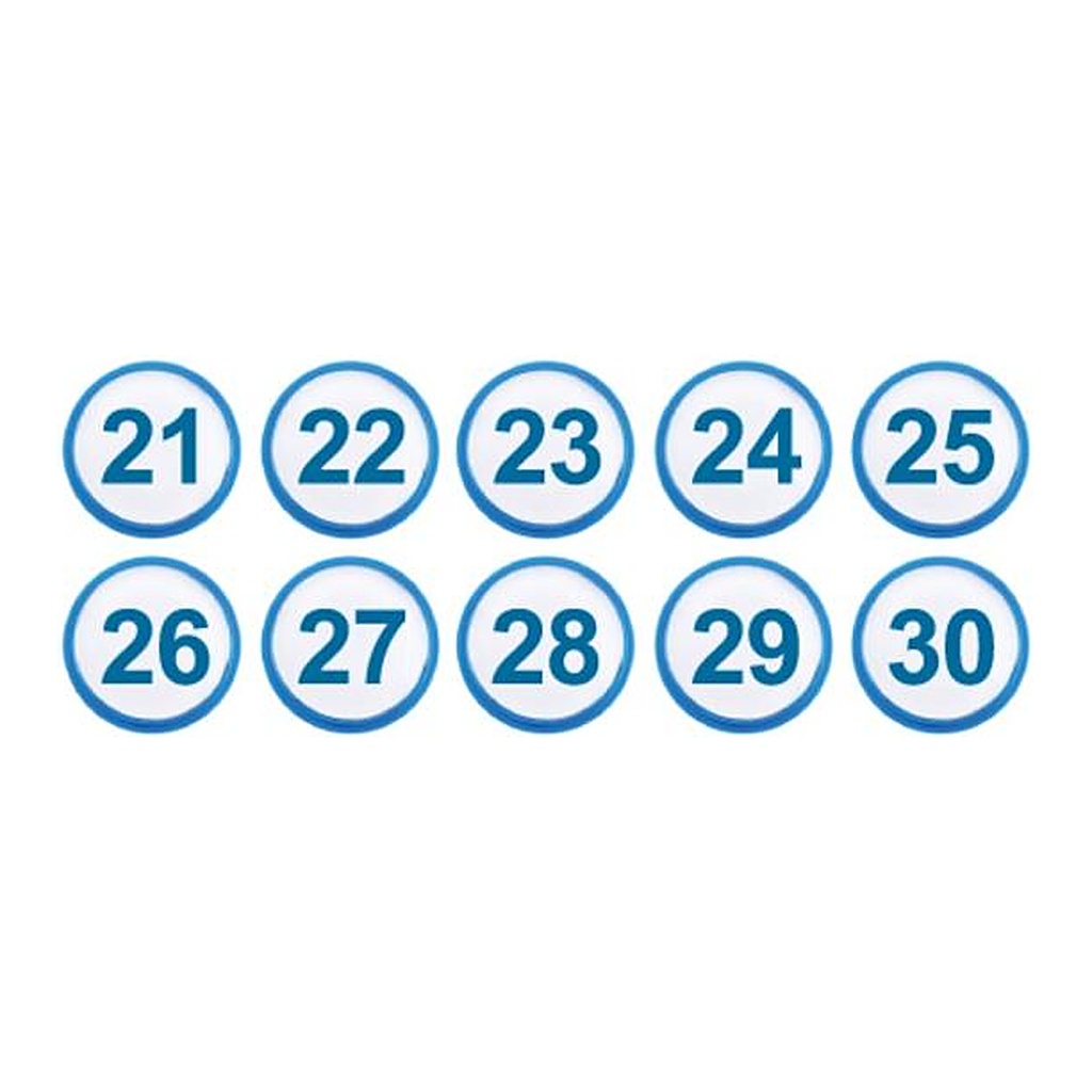 OFFICENEX [P]아트사인 아이넘버 파랑21~30(1312/지름35/10개입)