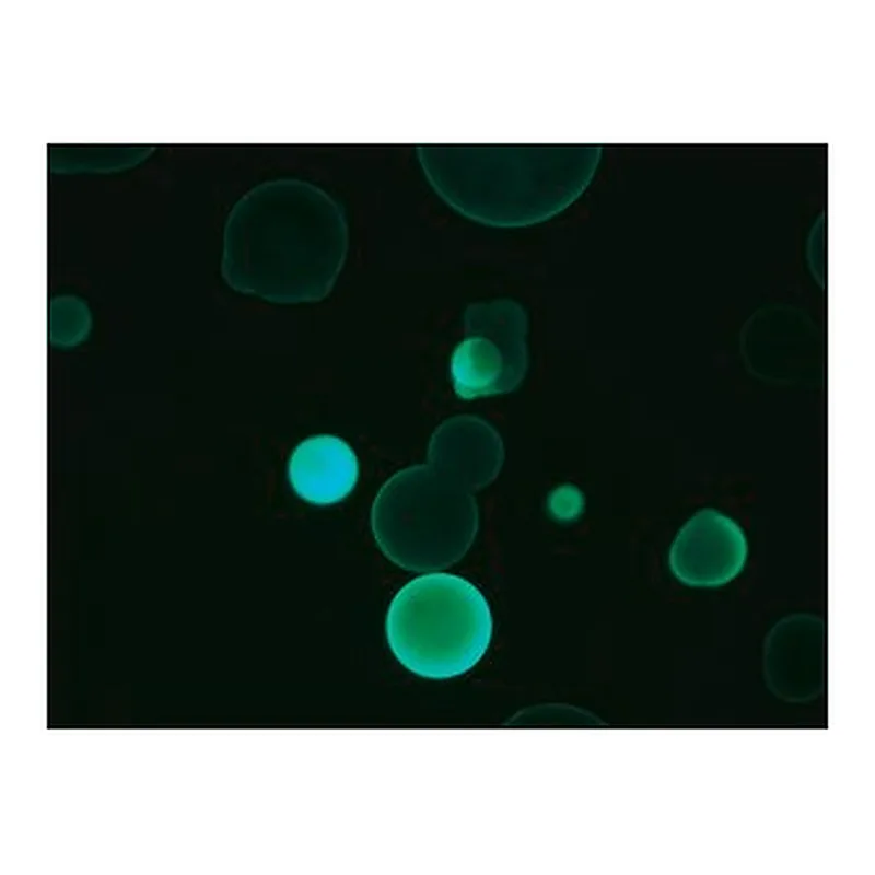 Merck ANTI-HUMAN IGG2−FITC ANTIBODY, MOUSE MO&