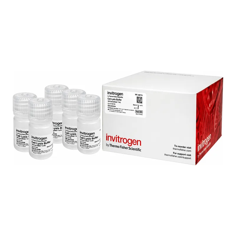 Thermo Fisher Scientific Cells-to-cDNA II Cell Lysis Buffer (10 ml Bottle)