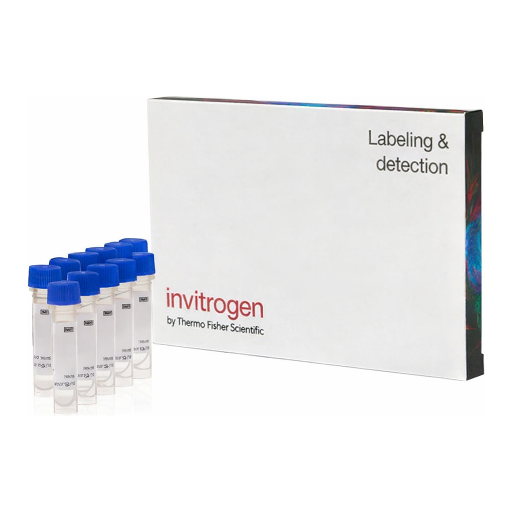 Thermo Fisher Scientific Fluo-3, AM, FluoroPure grade - Special Packaging