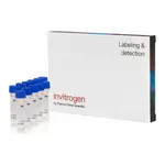 Thermo Fisher Scientific Fluo-3, AM, FluoroPure grade - Special Packaging
