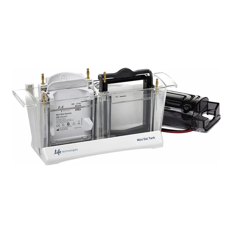 Thermo Fisher Scientific Mini Gel Tank and Blot Module Set