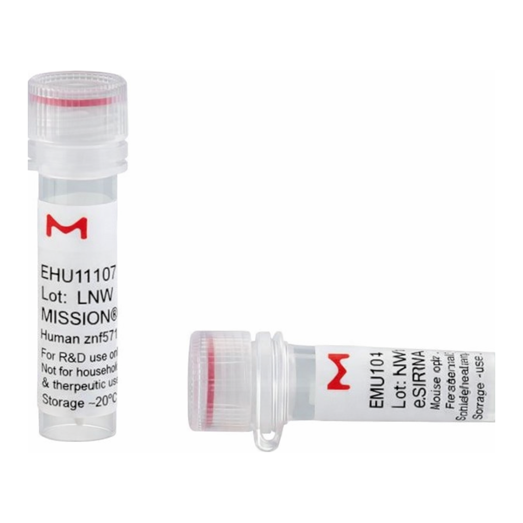 Merck MISSION(R) esiRNA