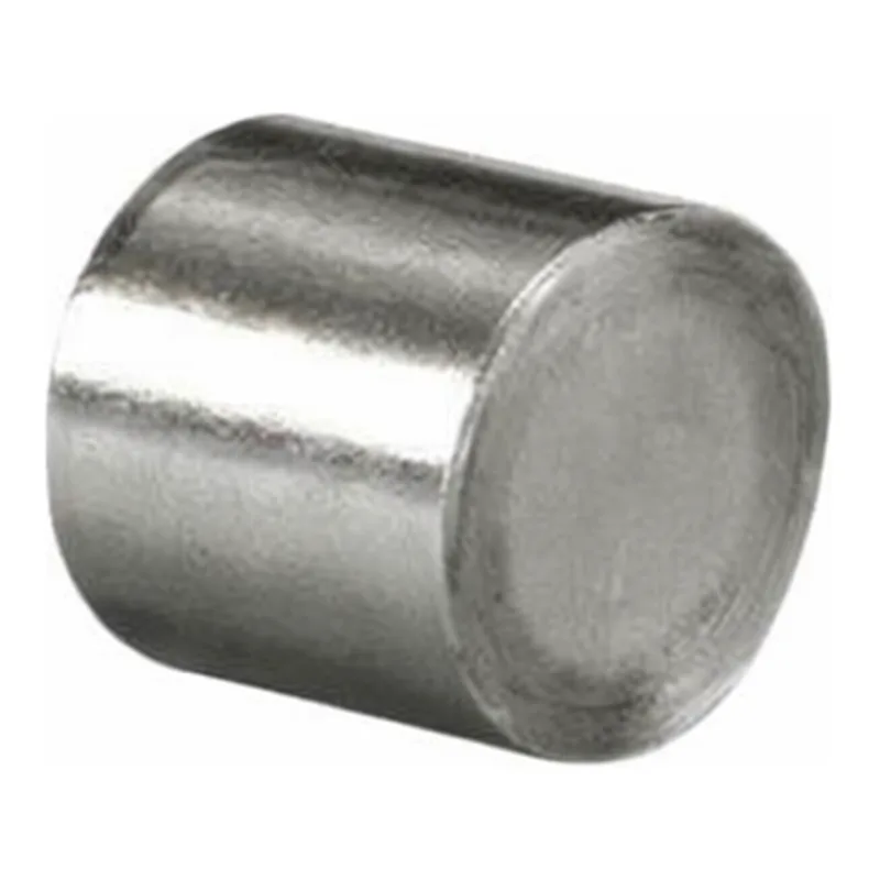 Waters Atlantis T3 Prep Guard Cartridge, 100Å, 5 µm, 10 mm X 10 mm, 1/pk