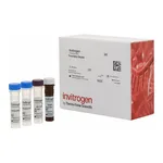 Thermo Fisher Scientific CD163 Human ProcartaPlex Simplex Kit
