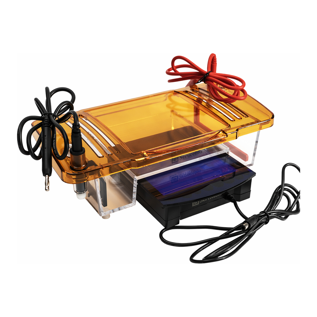Servicebio Integrated Horizontal Electrophoresis System
