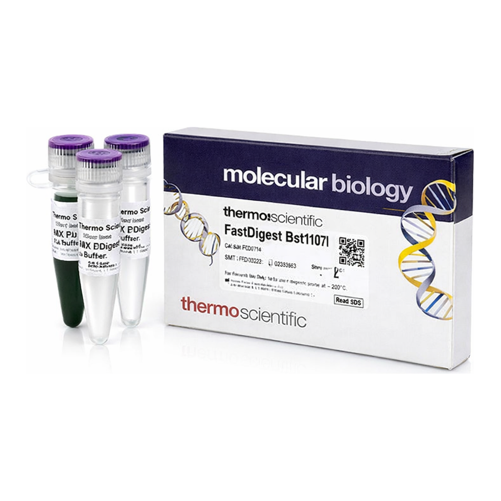 Thermo Fisher Scientific FastDigest Bst1107I